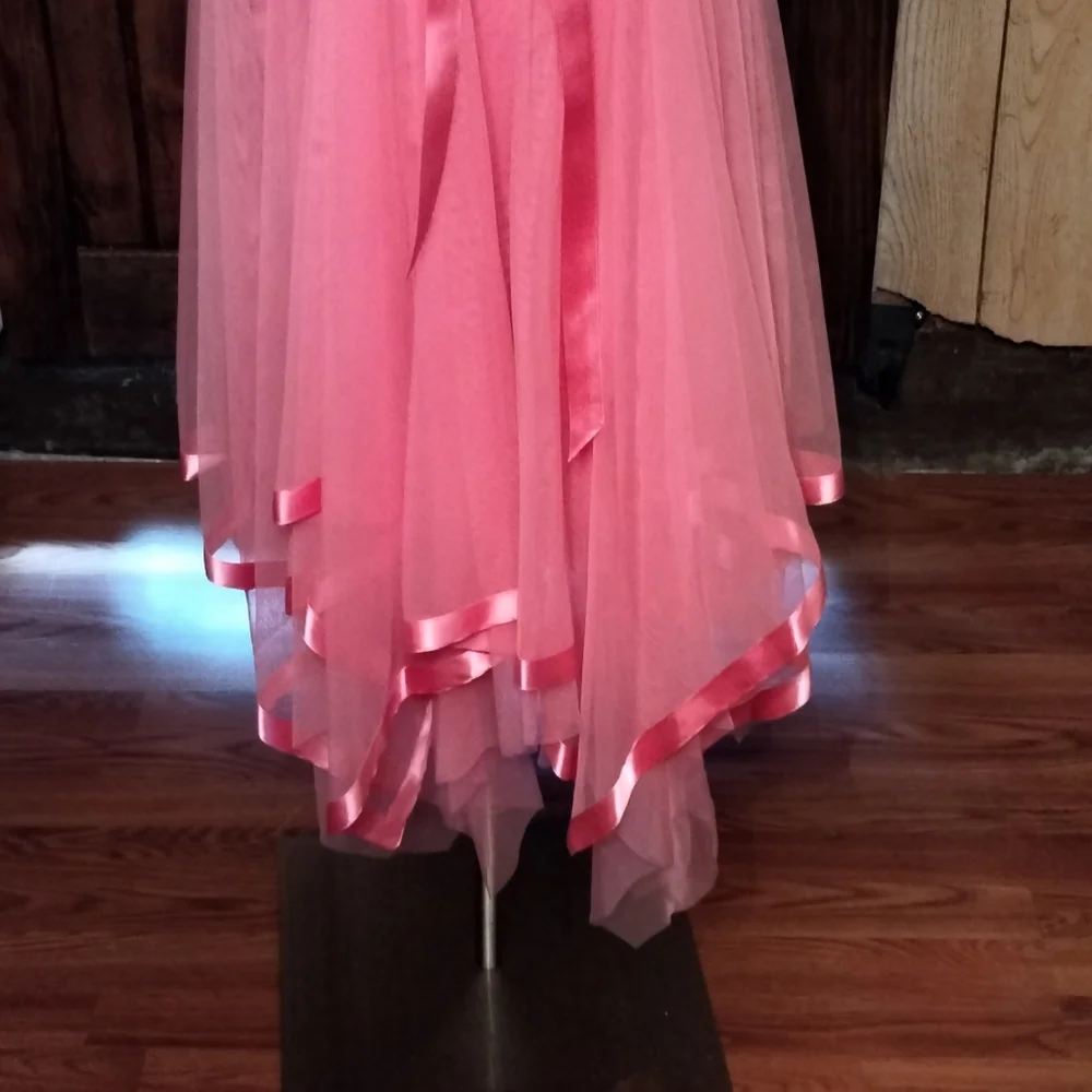 Pink Chiffon - Picture 3 of 5